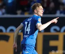 多特蒙德德甲战胜霍芬海姆罗伊斯点球命中的简单介绍